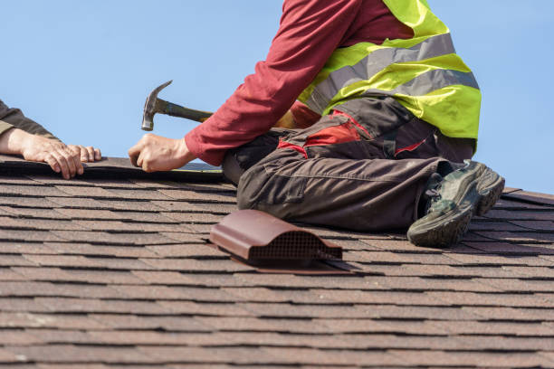 Best Roof Gutter Cleaning  in Brooksville, FL