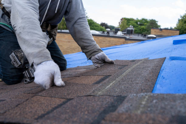 Roof Waterproofing Services in Brooksville, FL
