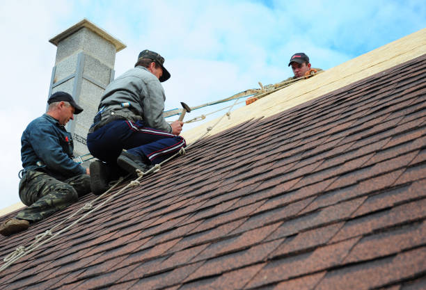 Roof Gutter Cleaning in Brooksville, FL